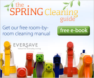 300x250 spring cleaning 032609 Free Spring Cleaning eBook