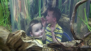 boys-aquarium boys aquarium Having Fun!