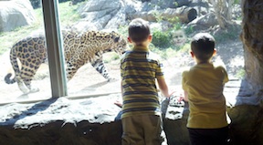 boys-zoo boys zoo Having Fun!