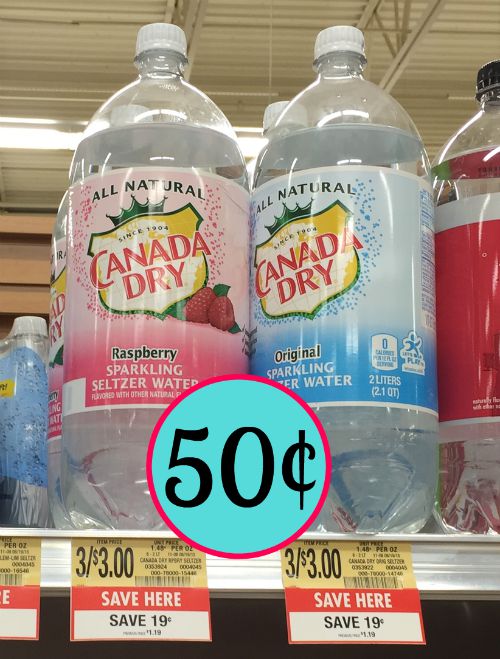 Canada Dry Sparkling Seltzer Water Just 50¢ At Publix