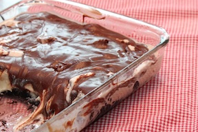 passionate penny pincher recipe Mudslide Dessert