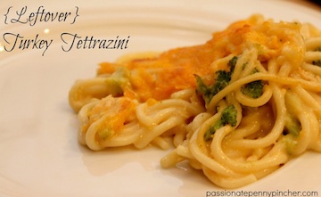 Passionate Penny Pincher Recipes – What To Do With Leftover Turkey?