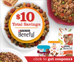 Fantastic Beneful Coupons To Print – Grab Them While You Can!