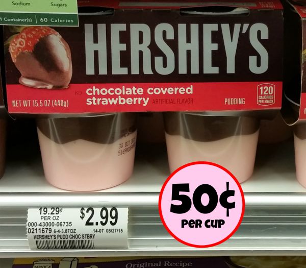 New Hershey S Pudding Coupon Publix Deal