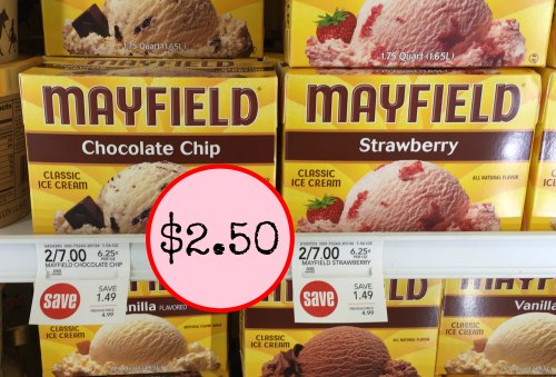 Mayfield Ice Cream Just 2 50 At Publix