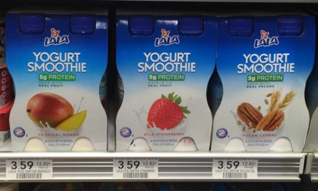LALA Yogurt Smoothie Coupon In The New Smart Savings Booklet – Grab A Great Deal At Publix!