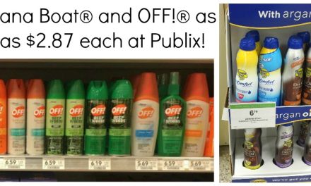 Stock Up On Great Deals On Banana Boat® and OFF!® Products At Publix – As Low As $2.87 Per Item!