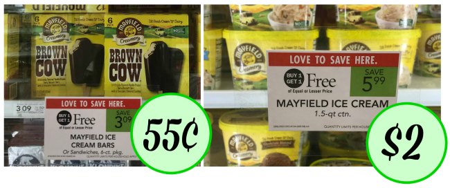 Mayfield Ice Cream I Heart Publix