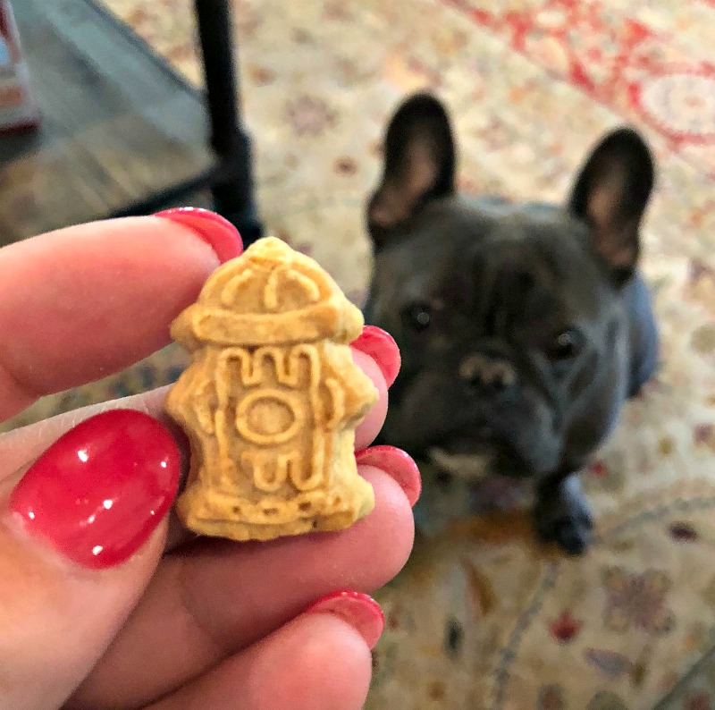 Stock Up On Three Dog Bakery Treats At Your Local Publix On Sale