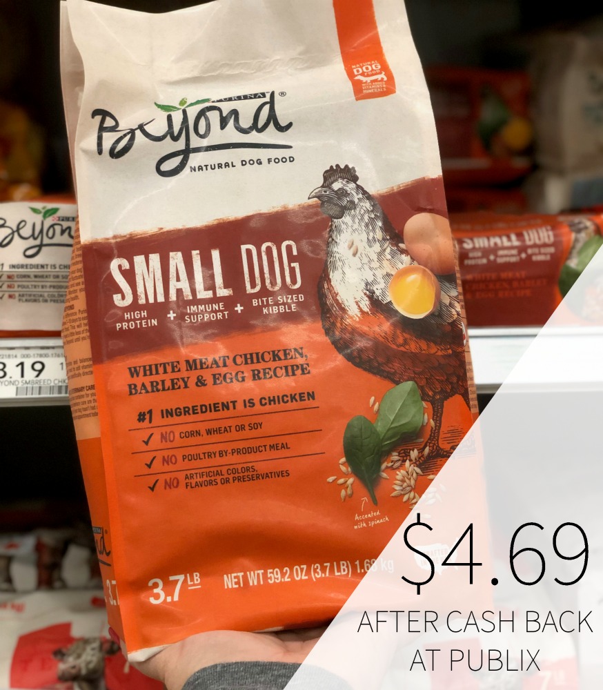 purina beyond dry dog food