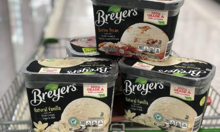 Fantastic Deal On Breyers Ice Cream This Week At Publix – Stock Your Freezer At A Great Price
