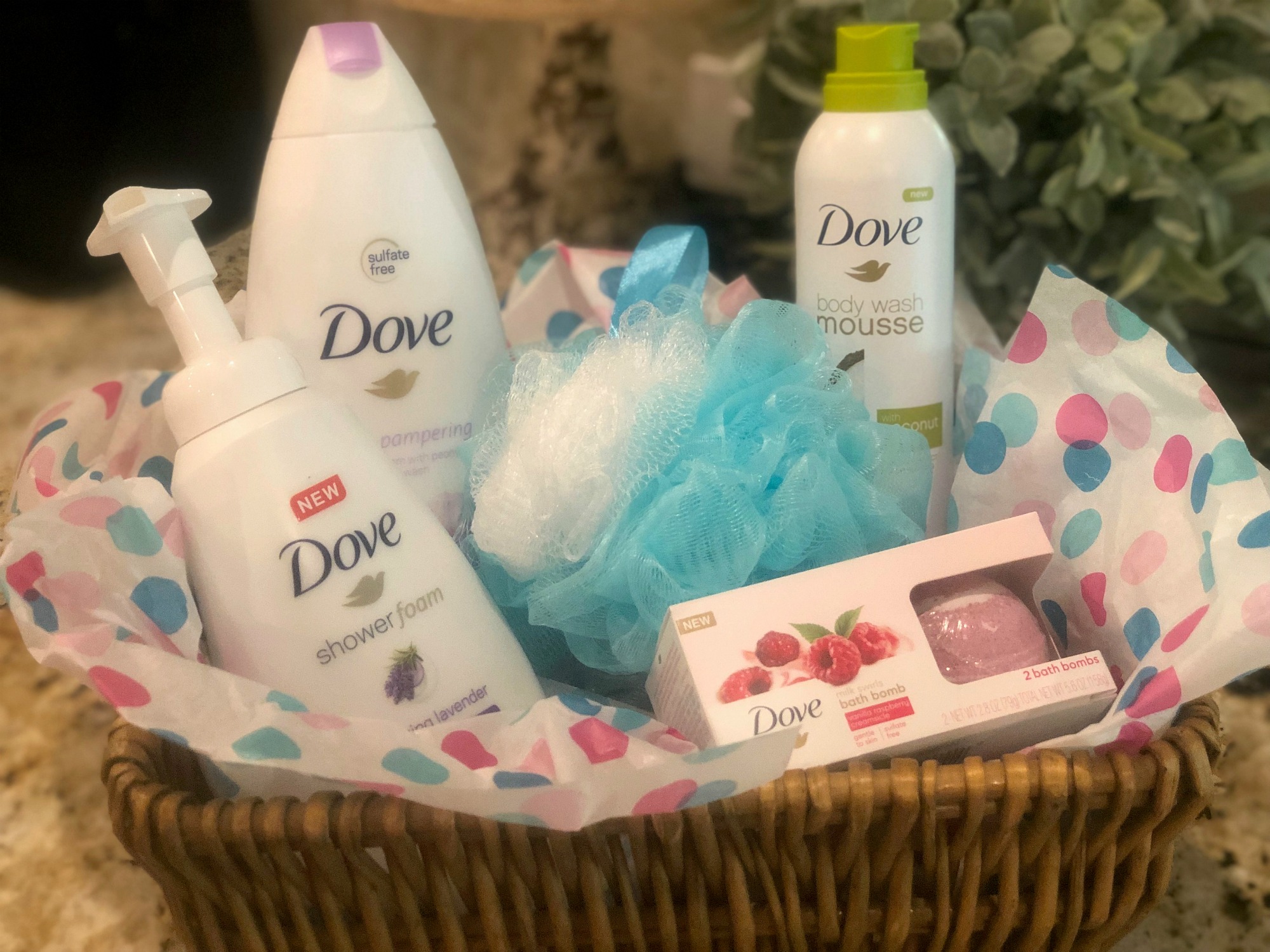 Dove on I Heart Publix