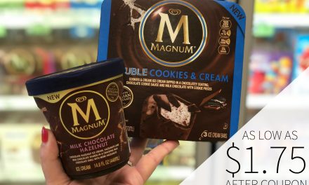 Still Time To Stock Up On Magnum Ice Cream Bars & Tubs At A Great Price At Publix