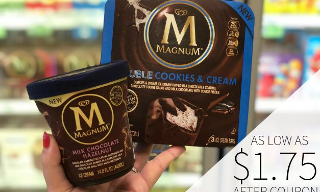 Last Chance To Grab A Super Deal On Magnum Bars & Tubs During The Publix BOGO Sale