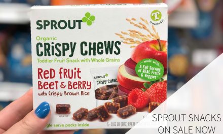 Look For Your Kiddo’s Favorite Sprout Snacks On Sale Now At Publix!