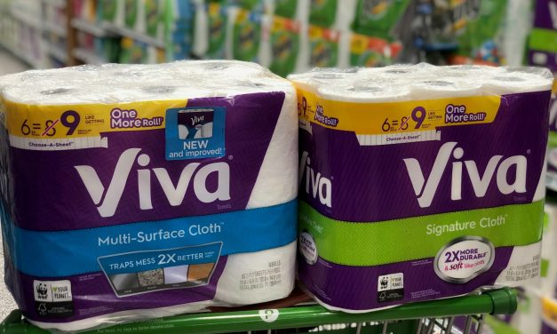 Great Deal On Viva Paper Towels After Coupon & Sale At Publix