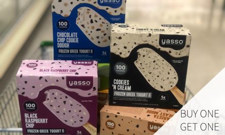 Stock Up On Yasso Frozen Greek Yogurt Bars – BOGO Sale This Week At Publix
