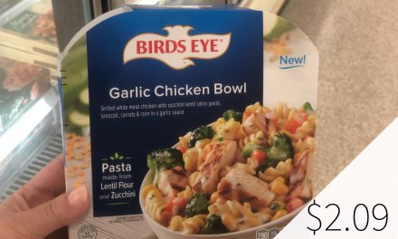 Grab A Super Deal On New Birds Eye Single Serve Meals At Publix – Save $1.50!