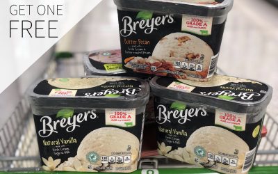 Stock Up On Delicious Breyers Ice Cream At Publix – Buy One, Get One FREE!