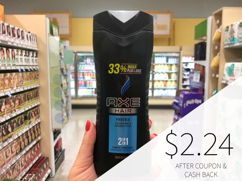 Axe Shampoo Only $1 (+ Reminder About 25¢ Body Wash) on I Heart Publix 1