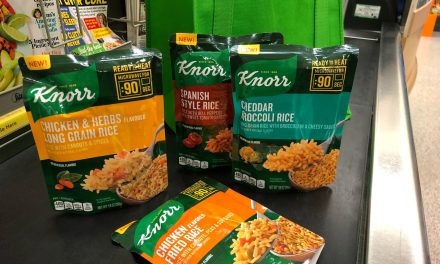 NEW Knorr Ready To Heat Makes Mealtime Quick And Delicious – Find Four Varieties At Publix