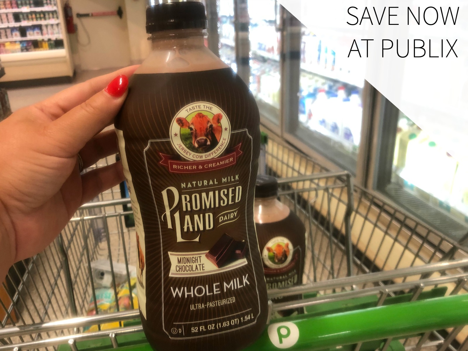 promised land 52 Publix Auto Draft on I Heart Publix 243