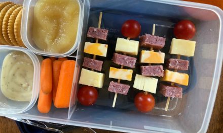 Salami & Cheese Skewers – Easy & Delicious Lunch Option For Back To School (Save On Tillamook Cheese At Publix)