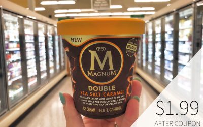 Fantastic Deal On Magnum Ice Cream This Week At Publix – Buy One, Get One FREE!