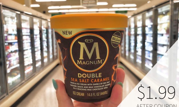 Fantastic Deal On Magnum Ice Cream This Week At Publix – Buy One, Get One FREE!