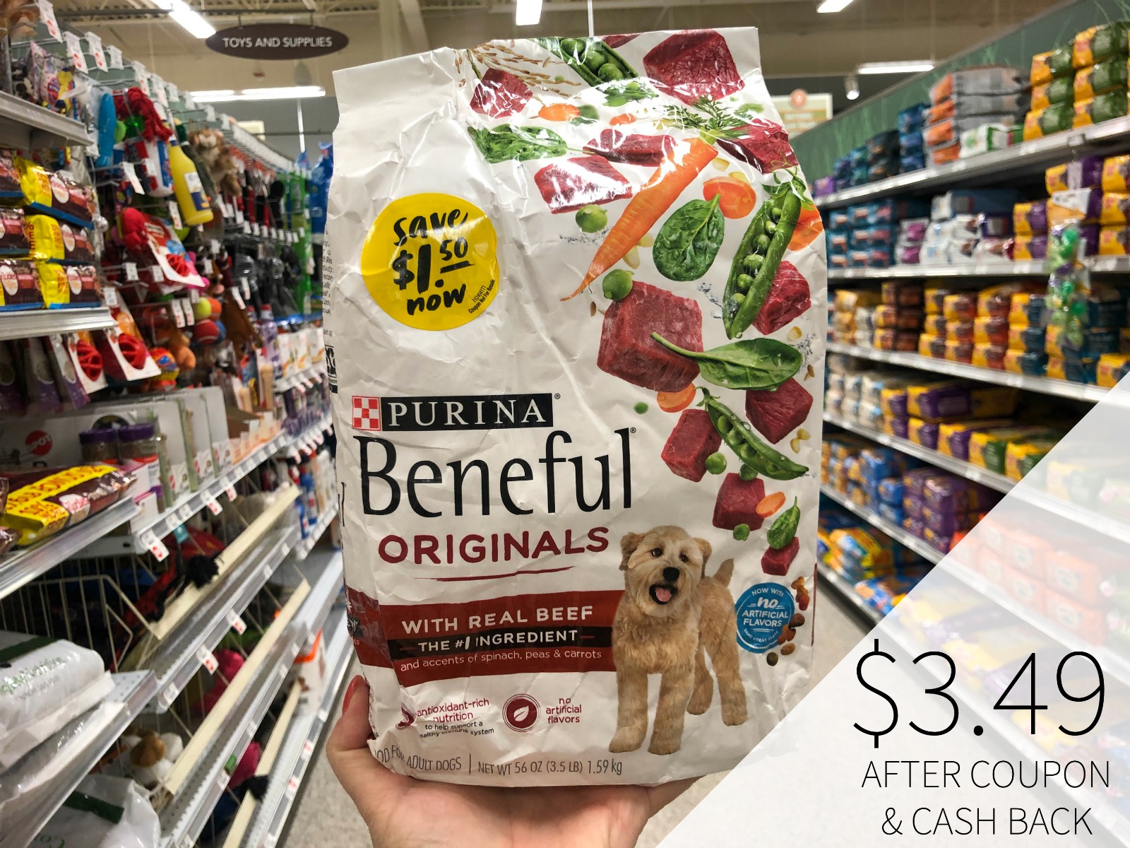 beneful coupons 2019