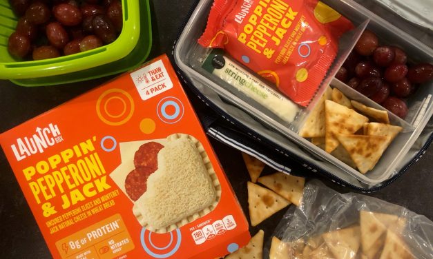 Find New LaunchBox Sandwiches At Publix – Save $2 With The Coupon Available In-Store