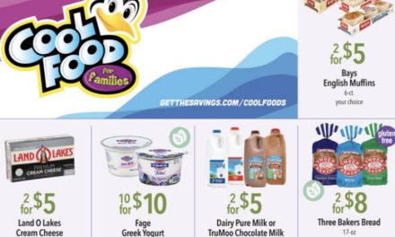 Stock Your Fridge & Freezer With Great Deals At Publix With Cool Food For Families!