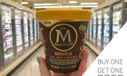 Stock Up On Magnum Ice Cream During The Publix BOGO Sale