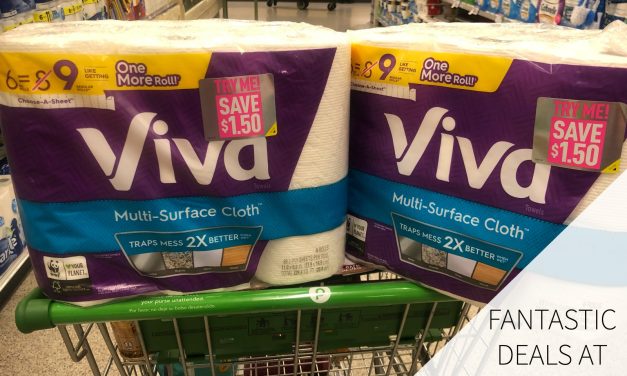 Fantastic Deals On Cottonelle Toilet Paper And Viva Paper Towels This Week At Publix – Time To Stock Your Cart!