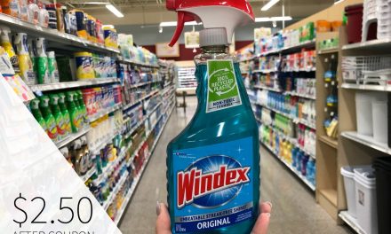 Get Your Home Ready For Holiday Guests & Save On Windex® Products At Publix