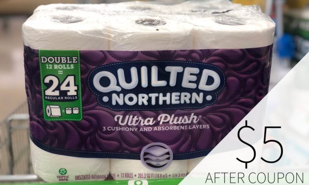 Stock Up On Quilted Northern® Bathroom Tissue At Publix & Get Ready For The Holidays!
