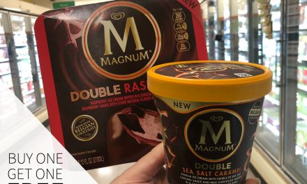 Kick Back With Great Taste This Holiday Season – Magnum Bars And Tubs Are Buy One, Get One FREE At Publix
