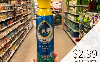 Get Your Home Ready For The Holidays With Pledge® Multisurface Cleaner – Save Now At Publix