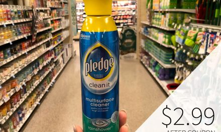 Get Your Home Ready For The Holidays With Pledge® Multisurface Cleaner – Save Now At Publix