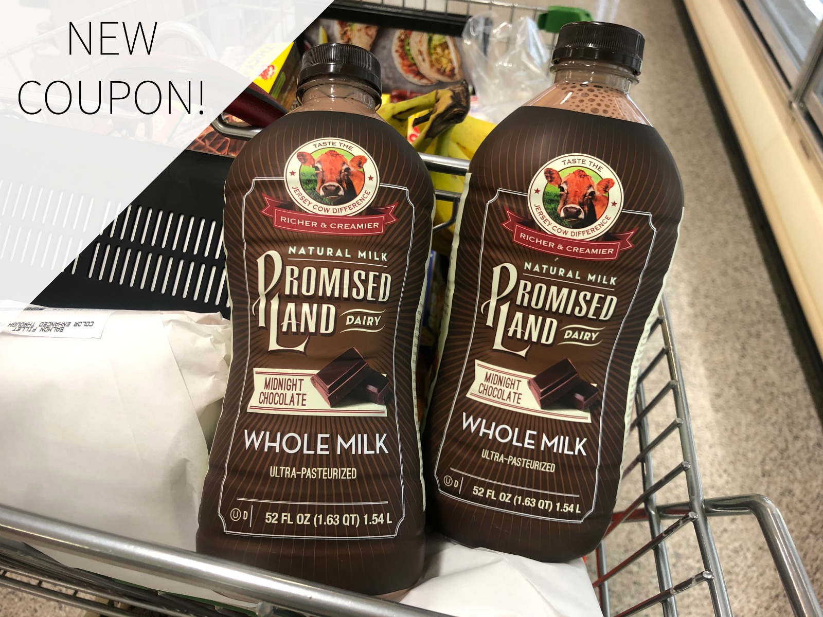 Save $2 On Promised Land Milk At Publix – Load The High Value Coupon!