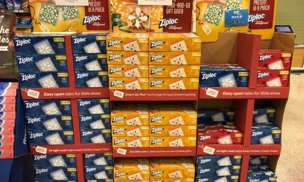 Spread Joy With The Help Of Holiday Inspired Ziploc® Brand Storage Bags And Containers