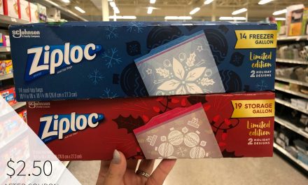 Look For New Ziploc®  Brand Bags & Containers In Festive Holiday Prints And Colors At Your Local Publix
