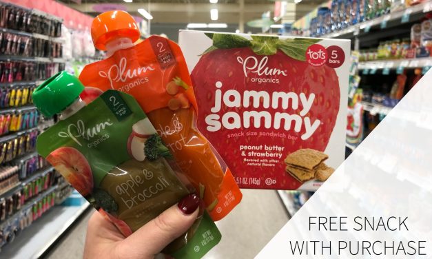 Fantastic Deal On Plum Organics® Foods For Your Little One Available At Publix!