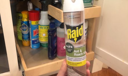 Raid® Ant And Roach With Essential Oils – Safe Around Kids And Pets When Used As Directed