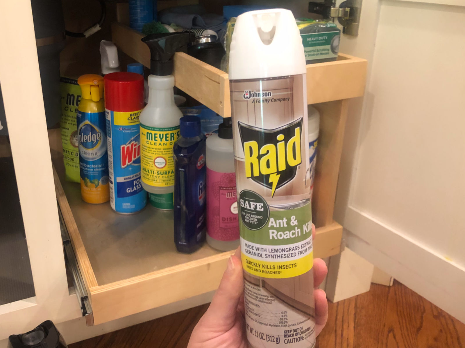 Kill Roaches And Ants With Raid Ant & Roach With Essential Oils – Available At Your Local Publix on I Heart Publix