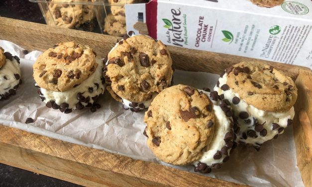 Pick Up Back To Nature™ Plant-Based Cookies AND Crackers – Enjoy Great Tasting Snacks All Summer Long!