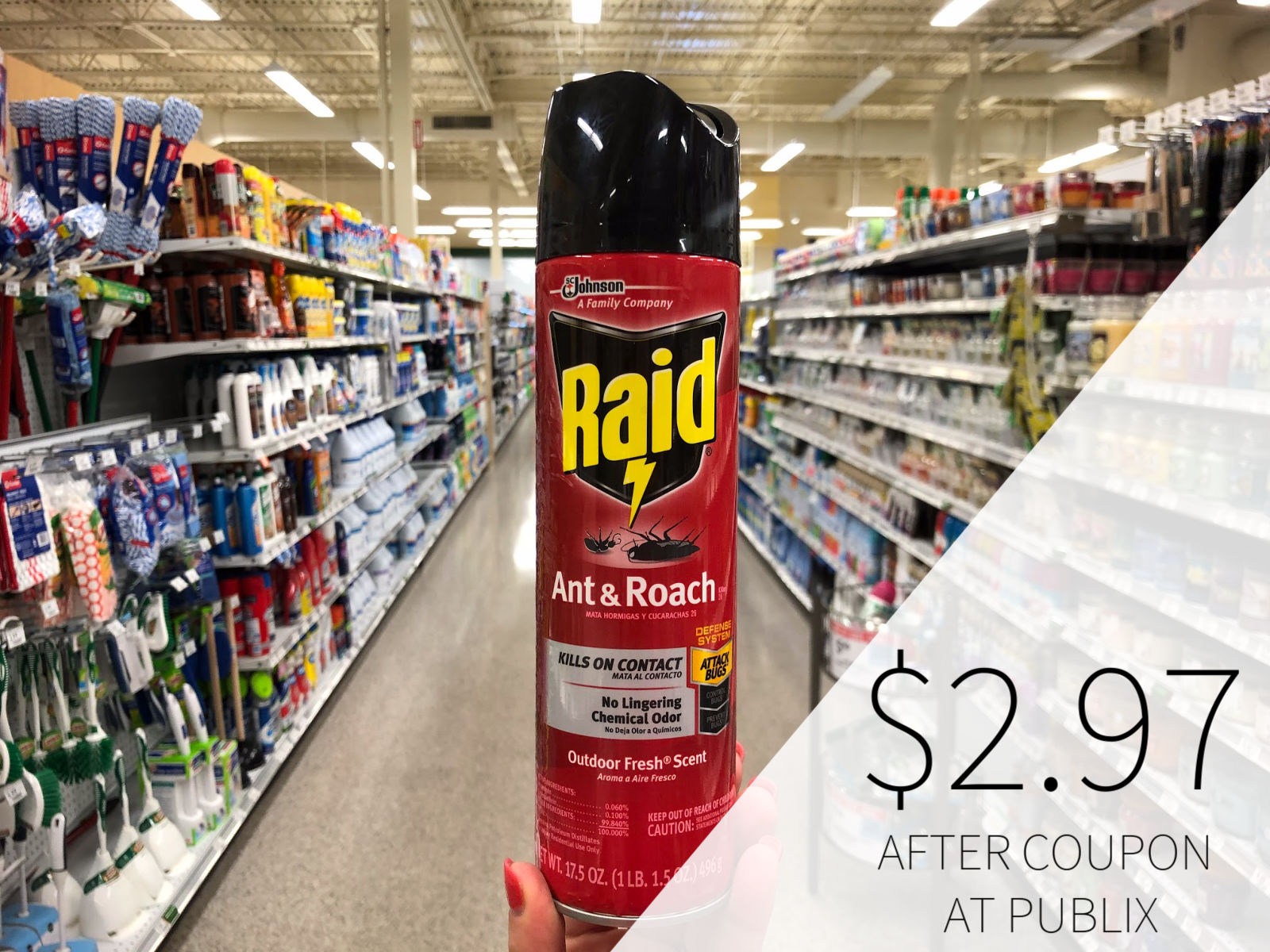 Save On Raid® Products At Publix – Use The Coupon To Try Raid® Ant and Roach with Essential Oils