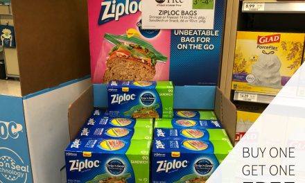 Trust Ziploc® Brand Products For Your Summer Fun – Save Now At Publix