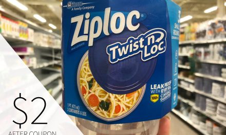 Keep Ziploc® Brand Containers Handy For All Your Summertime Fun – On Sale Now At Publix
