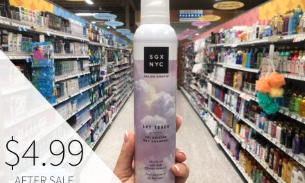 Super Deals On SGX NYC Haircare Items At Publix With The Sale AND Coupon Combo!